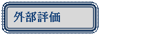 �l�p�`: �p���ۂ�����: �O���]��